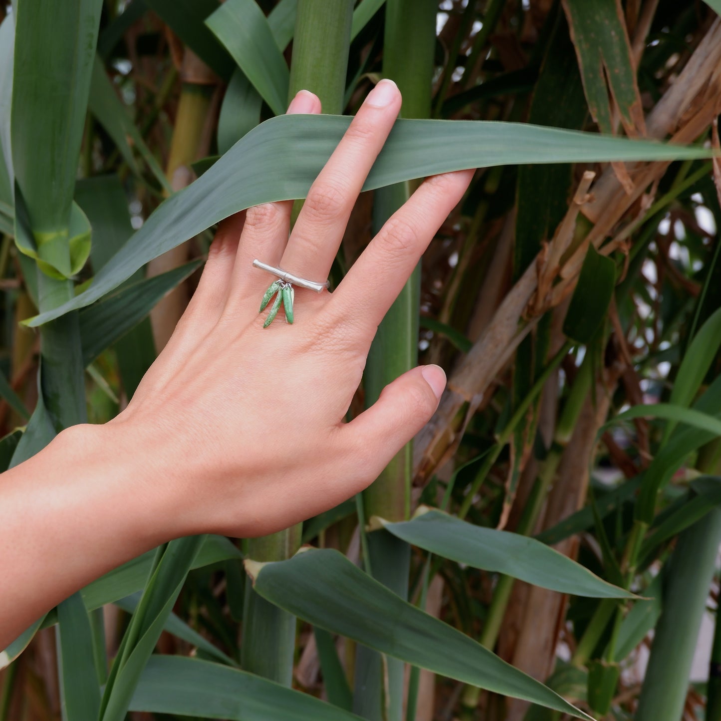 BAMBOO SHOOT . ring