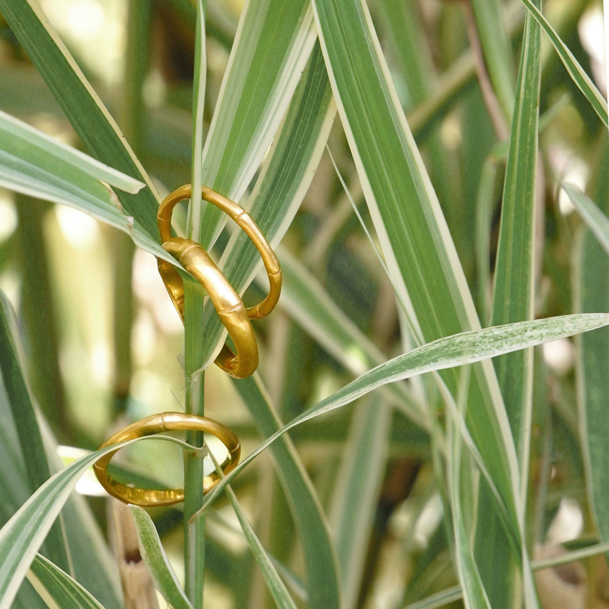 bamboo style stacking rings, in three thicknesses in  Gold Vermeil, against bamboo leaf background